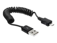 DeLOCK - USB-Kabel - USB (M) bis